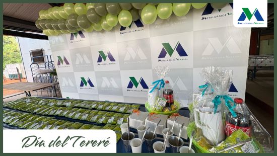 DIA DEL TERERÉ