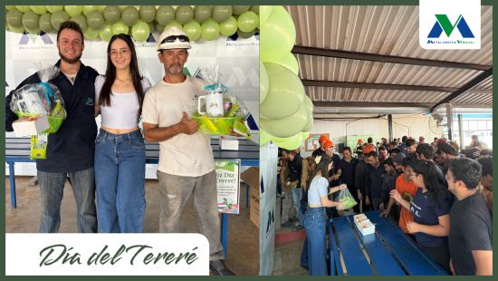 DIA DEL TERERÉ